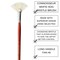 Connoisseur Brush Hog Bristle LH Fan #6 – Durable Natural Bristle Brush for Broad Washes, Gesso & More, Copper Ferrule, Ideal for Craft Painting & Acrylics
